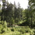Vogelsberger Wald
