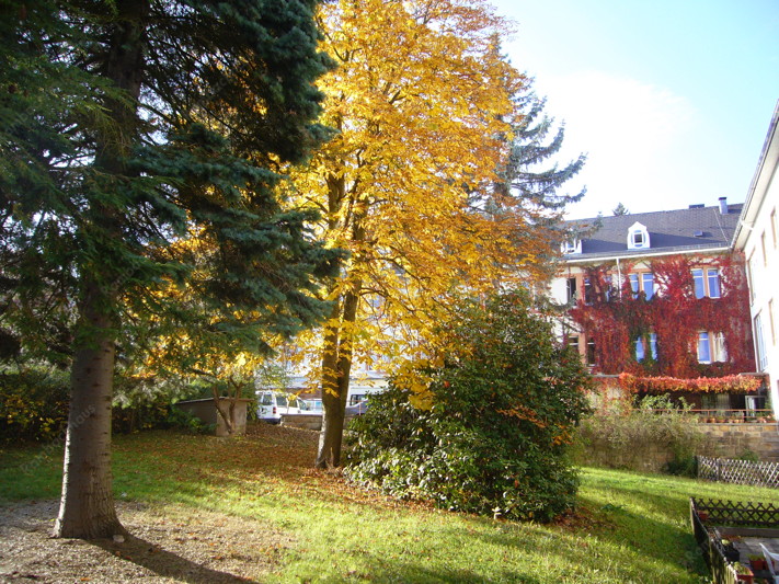 Das Rambachhaus im Herbst
